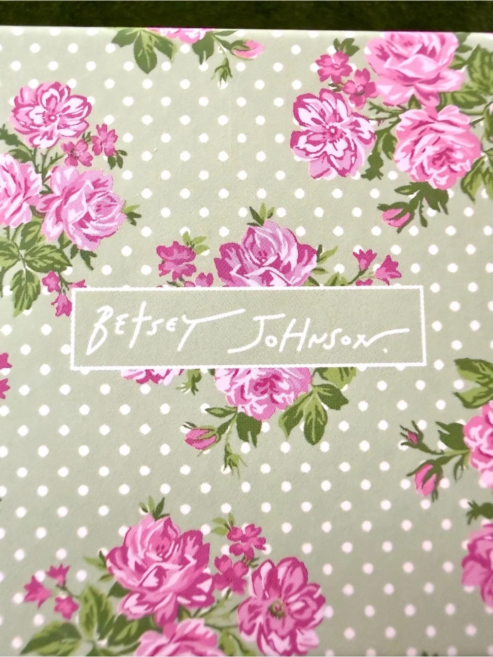 Betsey Johnson Garden Glam Crystal Dragonfly Stud Earrings-Fairycore Cottagecore